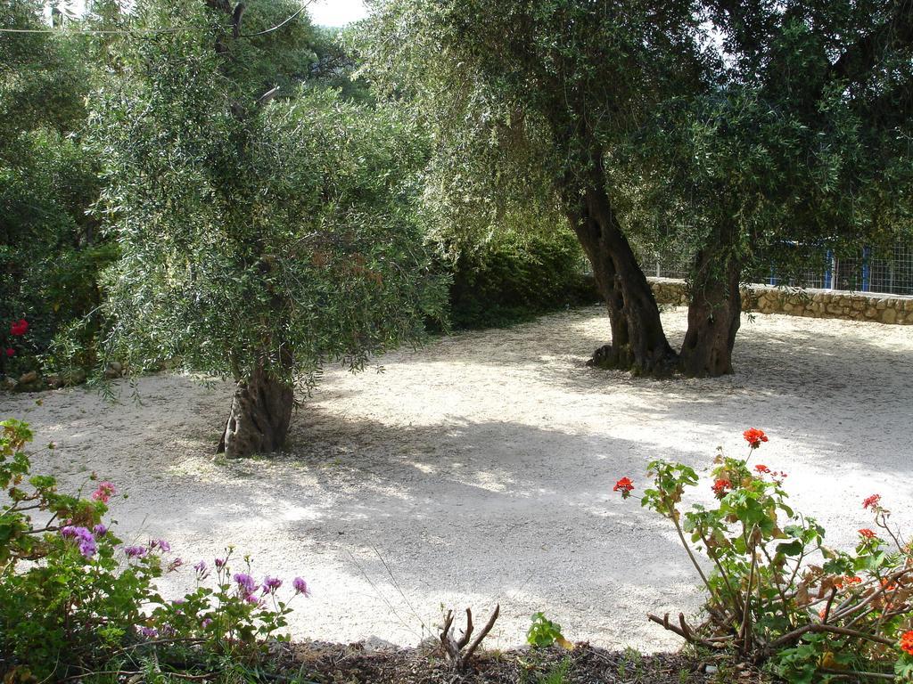 Bozikis Apartments & Studios Paleokastritsa Exterior photo