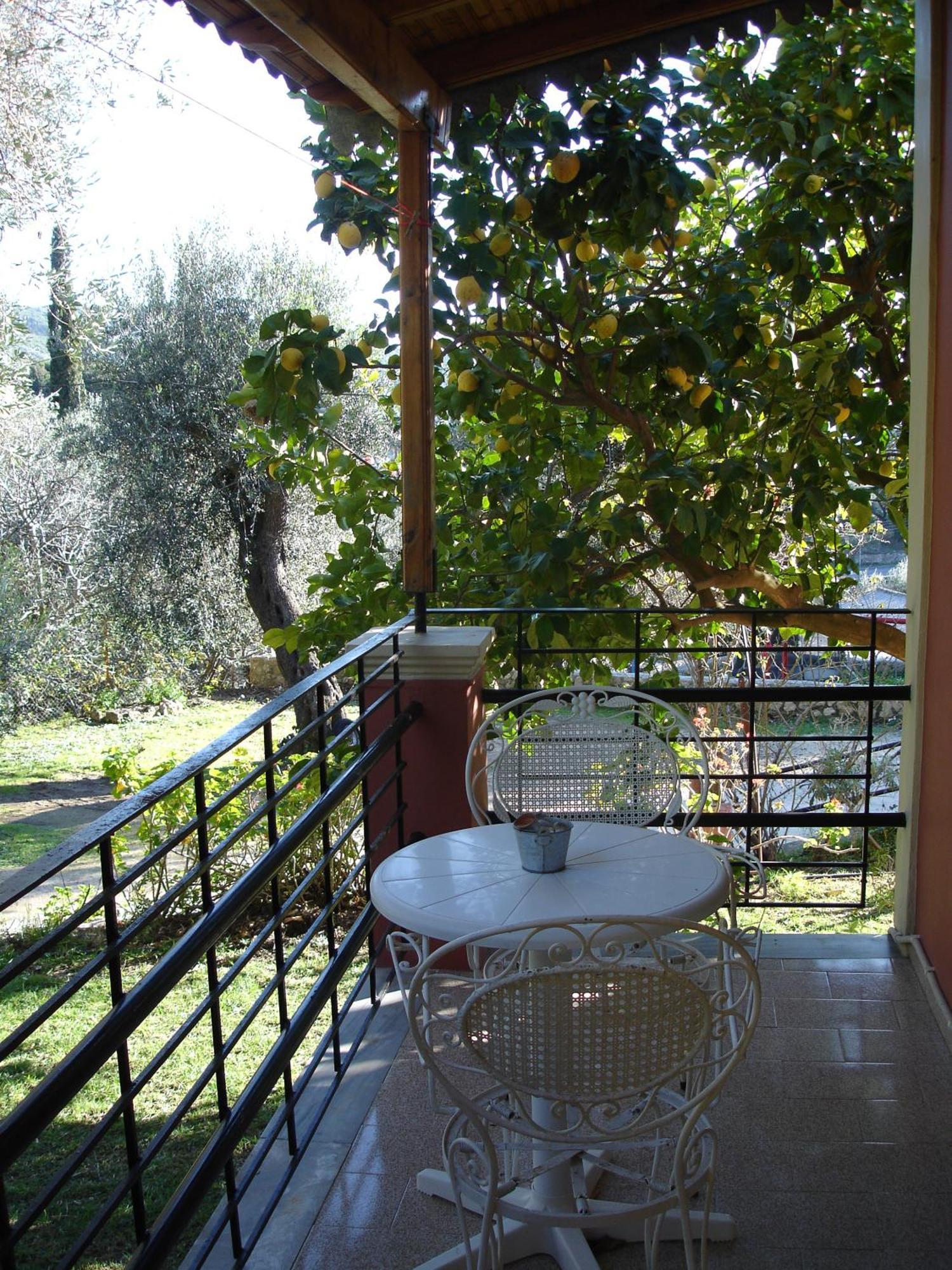 Bozikis Apartments & Studios Paleokastritsa Exterior photo